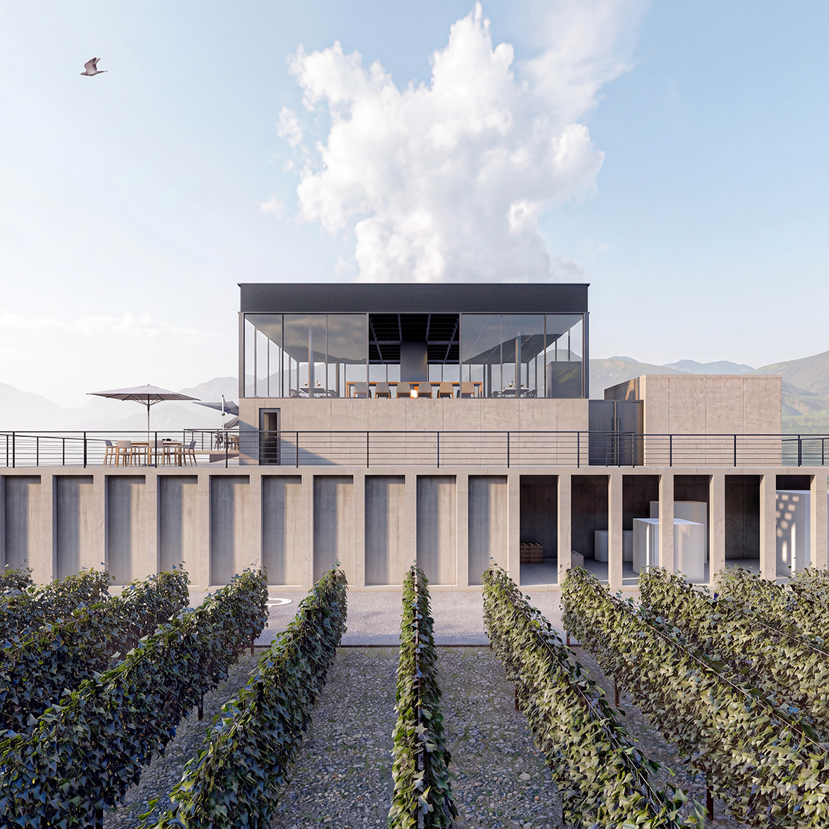 ღვინის მარანი სადმელში - Werkraum architecture project