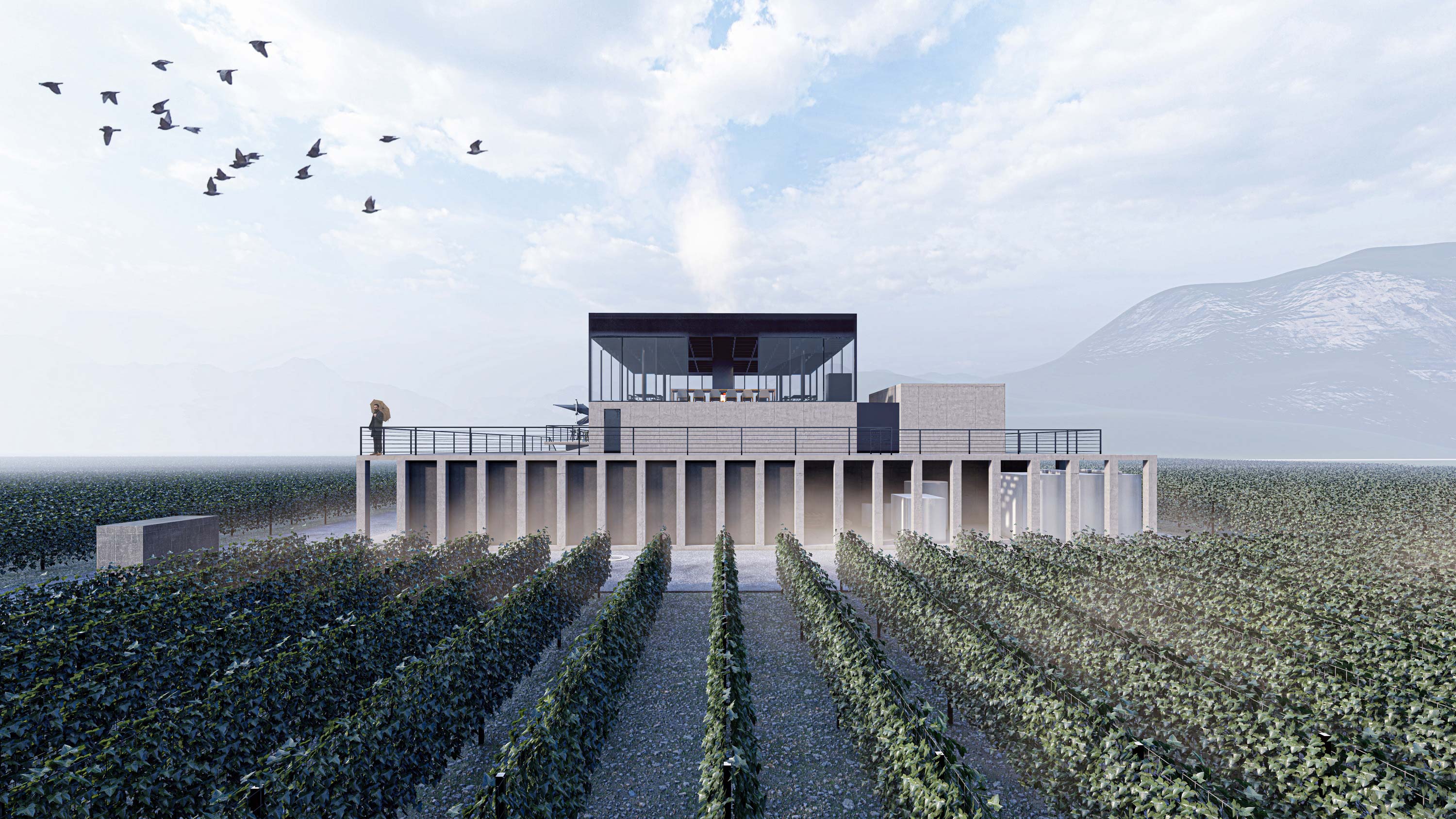 Winery in Sadmeli