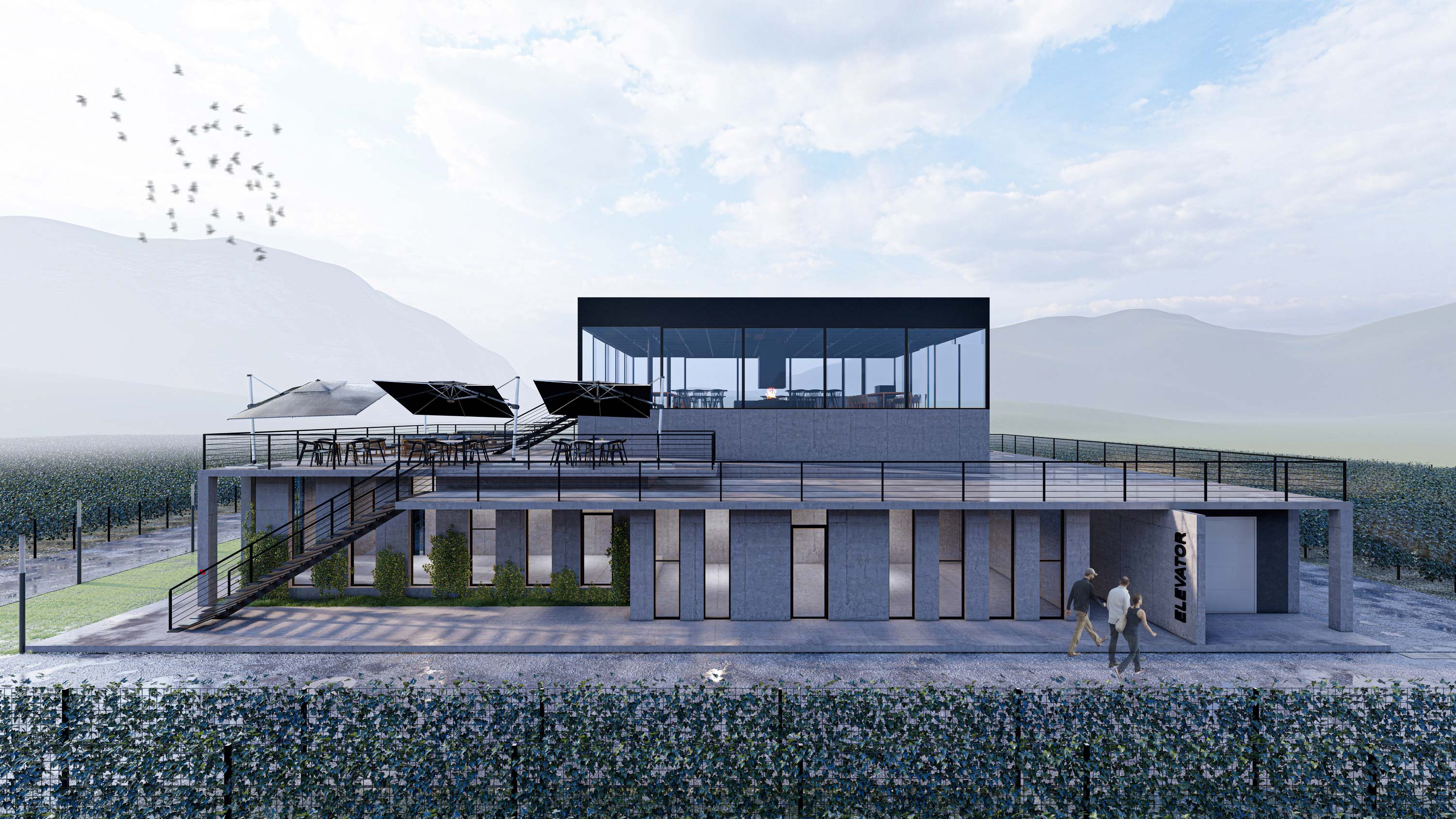Winery in Sadmeli