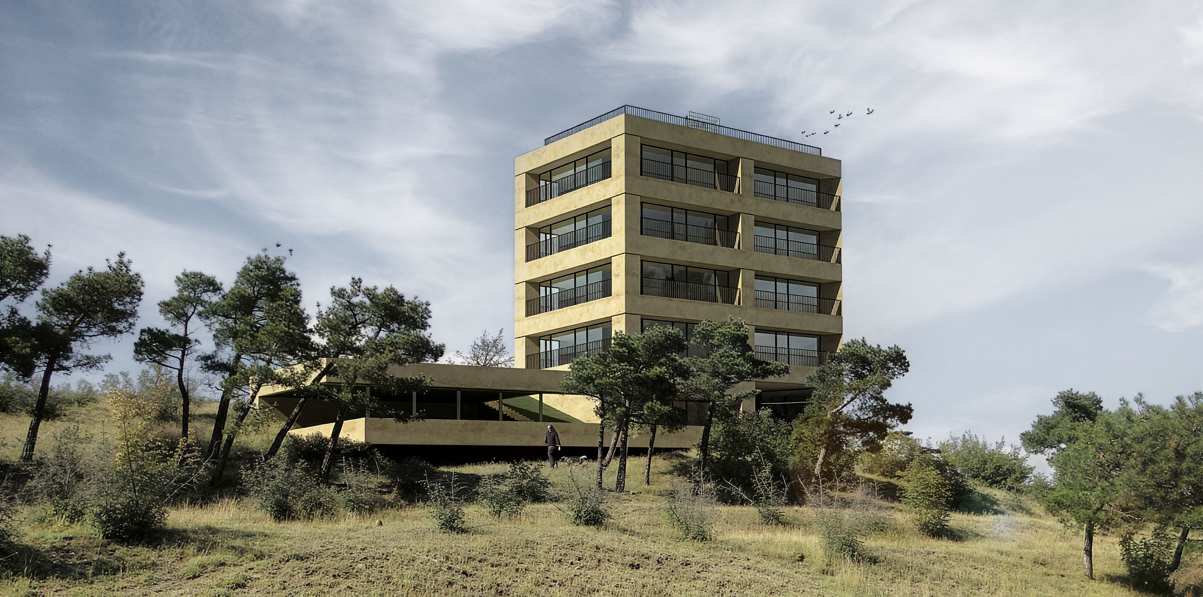 Housing Lisi